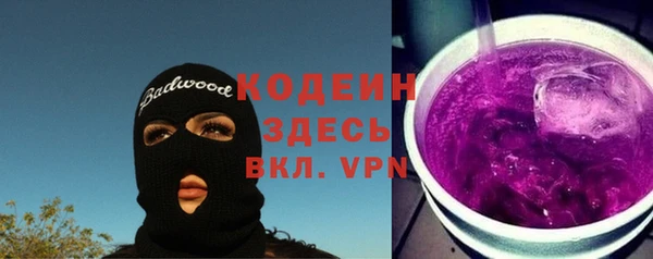 стаф Бородино