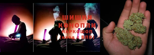 сатива Бугульма