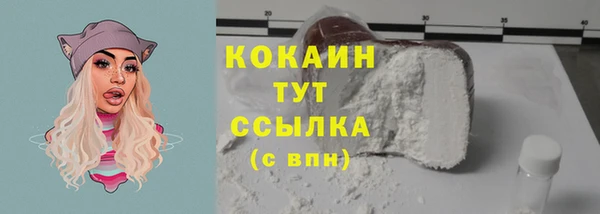 стаф Бородино