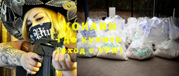 стаф Бородино