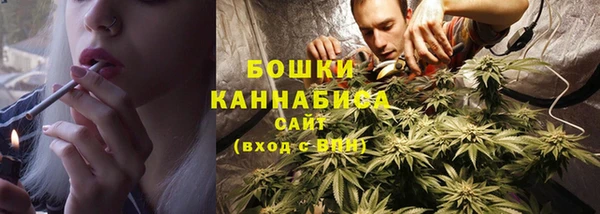 сатива Бугульма