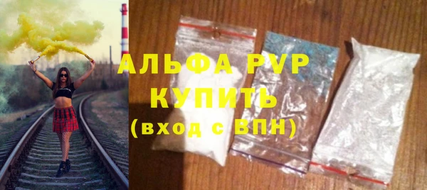 стаф Бородино