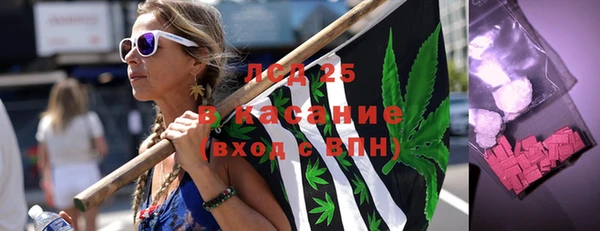 стаф Бородино