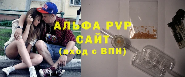 стаф Бородино