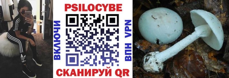 Псилоцибиновые грибы Magic Shrooms Тотьма