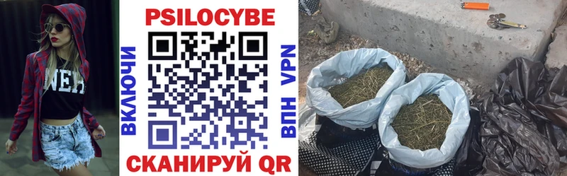 продажа наркотиков  Тотьма  Галлюциногенные грибы мухоморы 